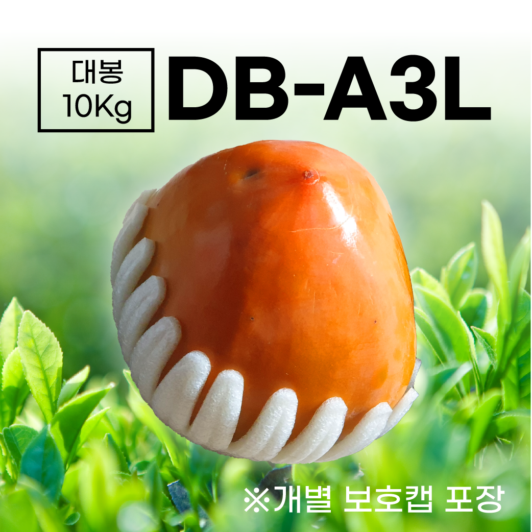 [특대_DB-A3L] 대봉 10Kg